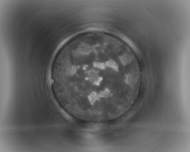 X0000113850791200910011000