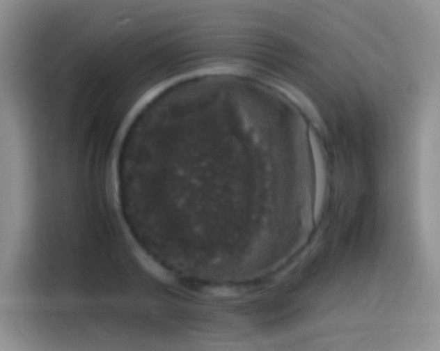 X0000113850792200910011000