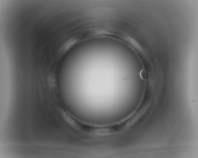 X0000113850793200910011000