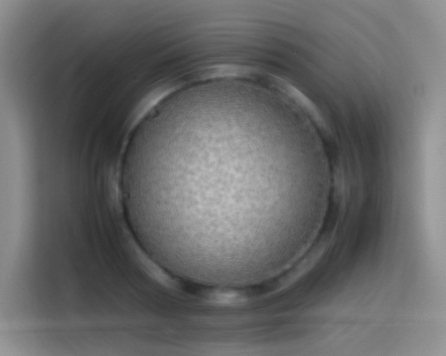 X0000113850794200910011000