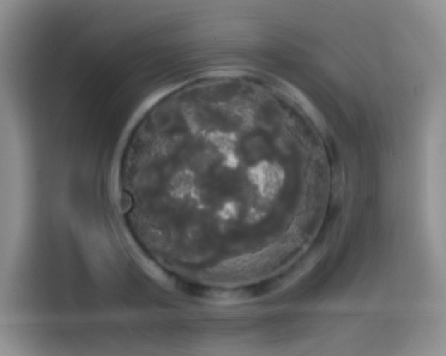 X0000113850795200910011000