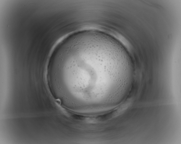 X0000113850799200910011000