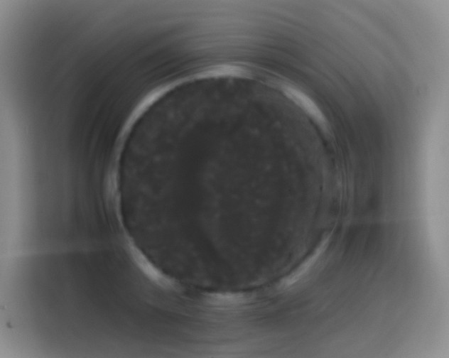 X0000113850800200910010959