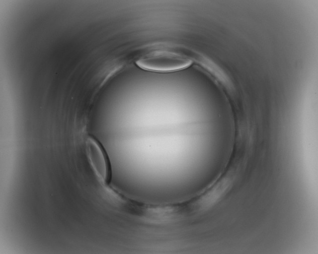 X0000113850801200910010959