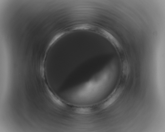 X0000113850802200910010959