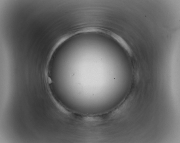 X0000113850805200910010959