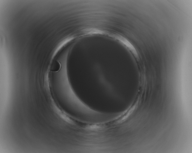 X0000113850806200910010959