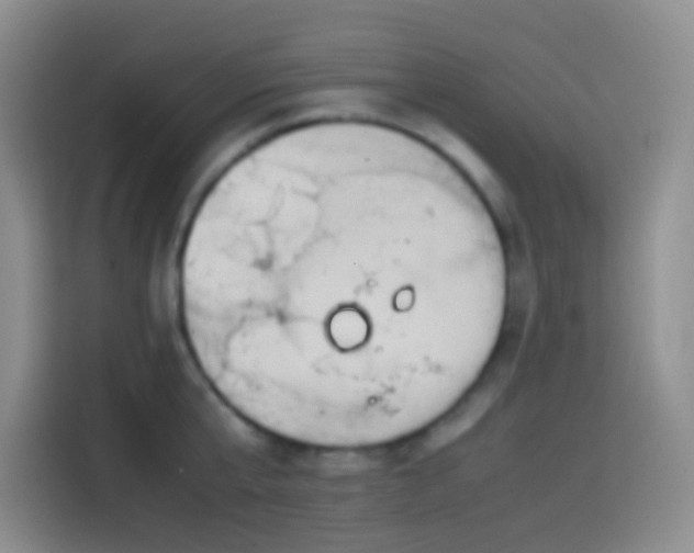 X0000113850807200910010959