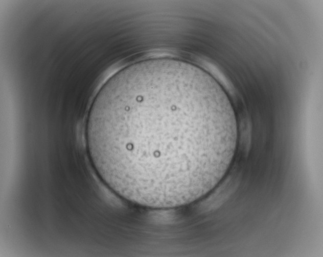 X0000113850810200910010959