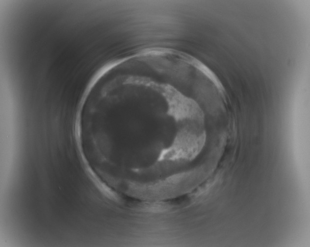 X0000113850811200910010959