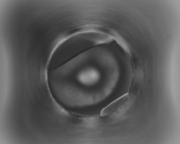 X0000113850813200910010959