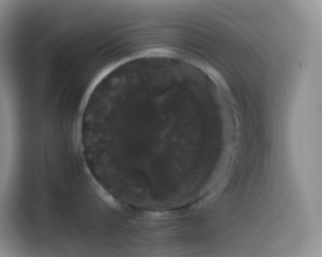 X0000113850816200910010959