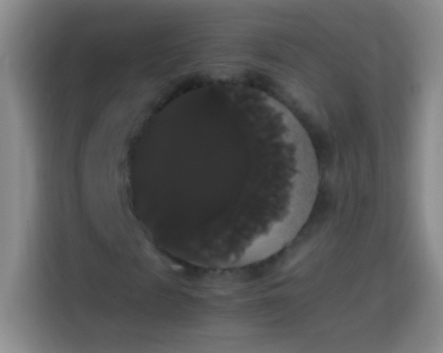 X0000113850817200910010959