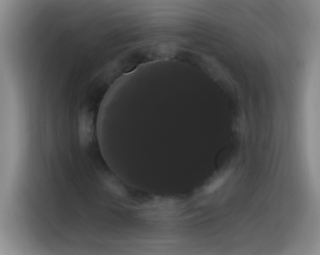 X0000113850818200910010959