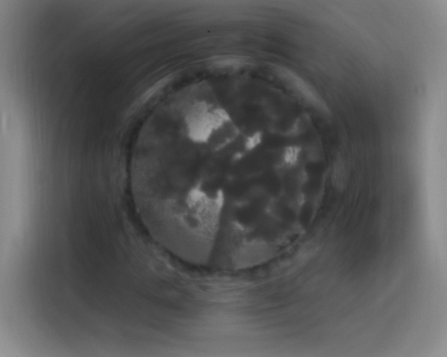 X0000113850821200910010959