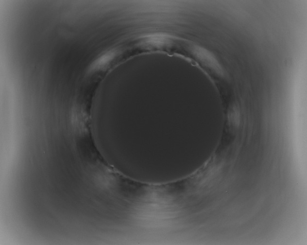 X0000113850822200910010959