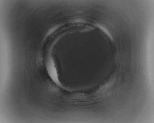 X0000113850823200910010959