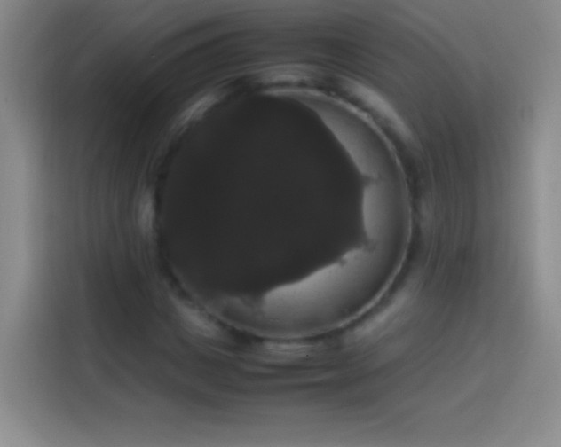 X0000113850825200910010959