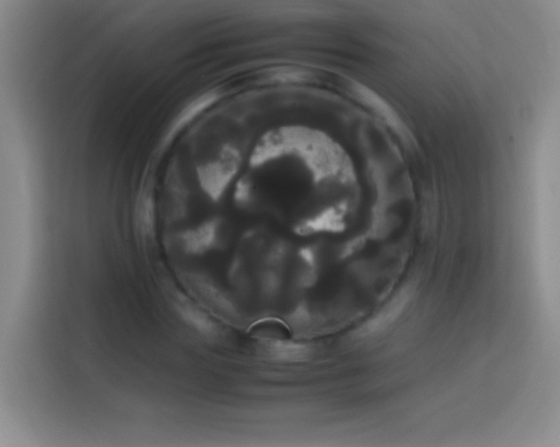 X0000113850827200910010959