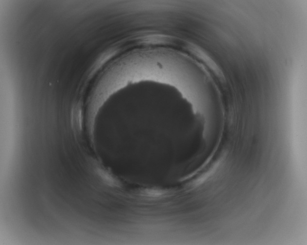 X0000113850829200910010959