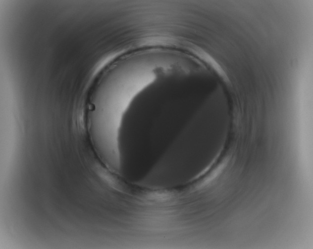 X0000113850830200910010959