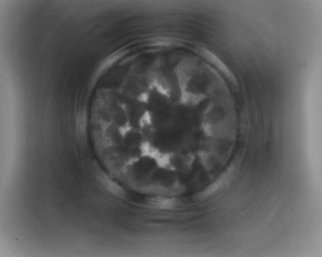 X0000113850831200910010959