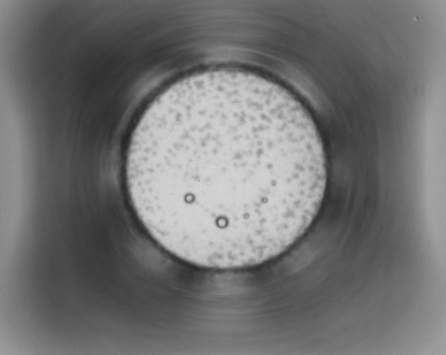 X0000113850832200910010959