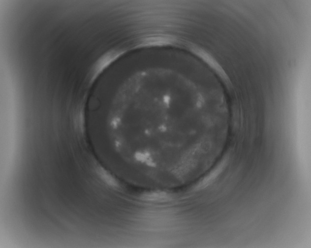 X0000113850834200910010959