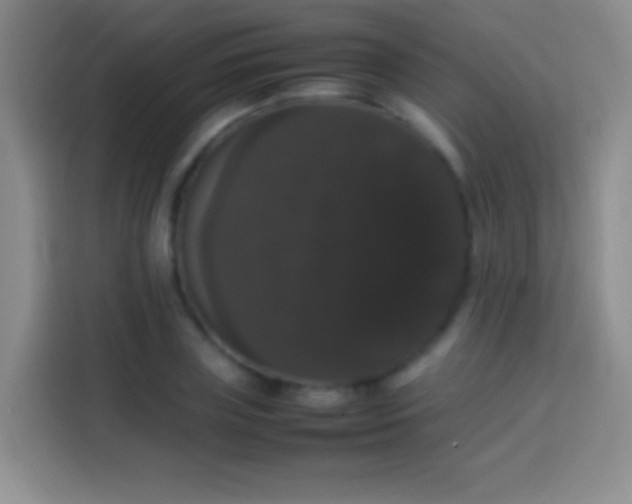 X0000113850835200910010959