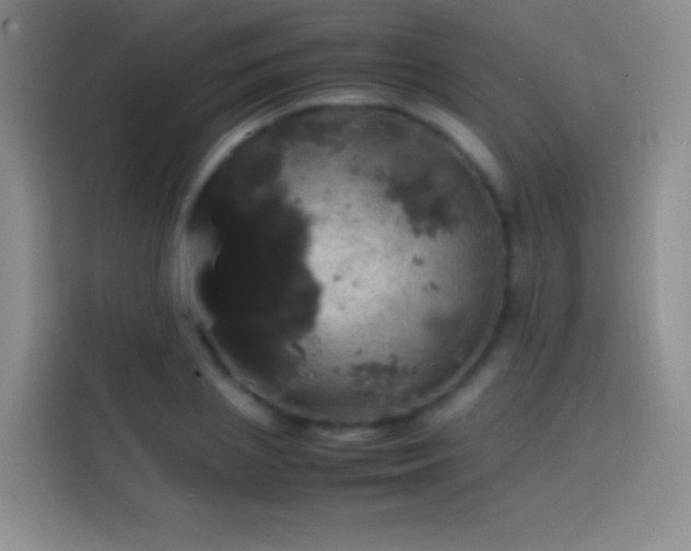 X0000113850837200910010959