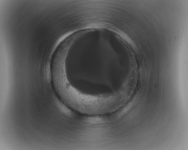 X0000113850838200910010959