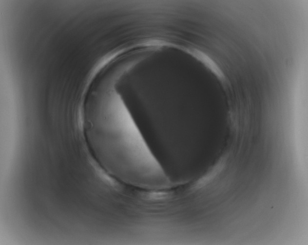 X0000113850839200910010959