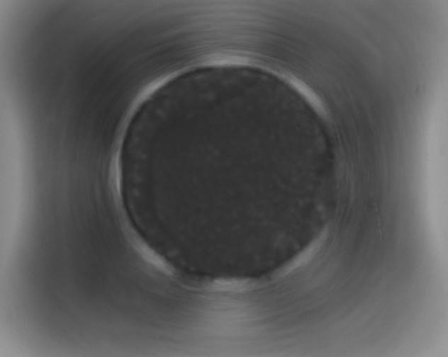 X0000113850840200910010959