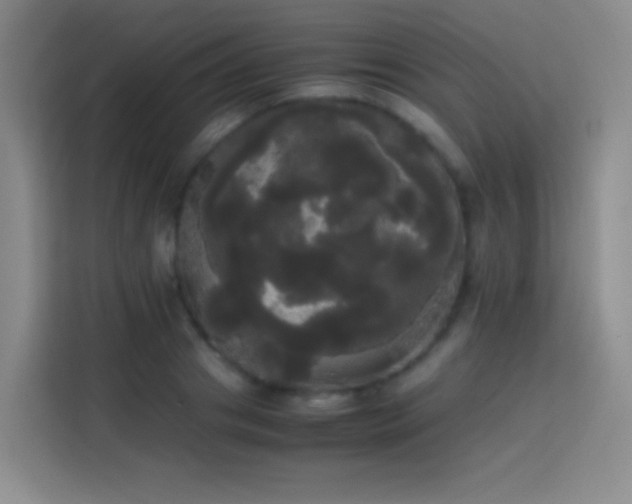 X0000113850841200910010959