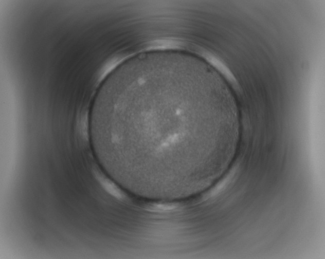 X0000113850842200910010959