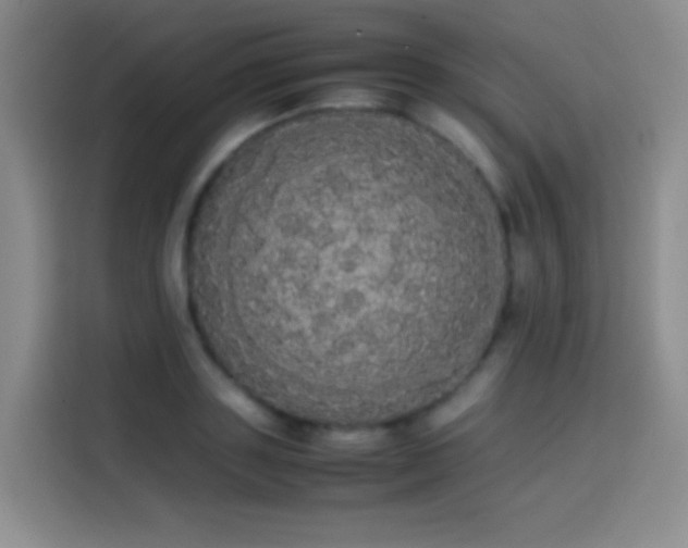 X0000113850843200910010959