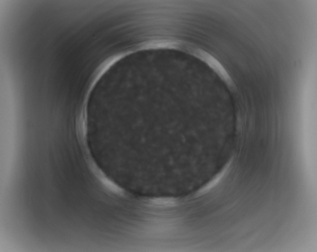 X0000113850844200910010959