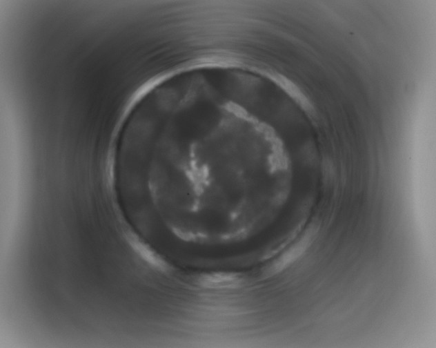 X0000113850846200910010959