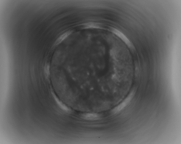 X0000113850849200910010959