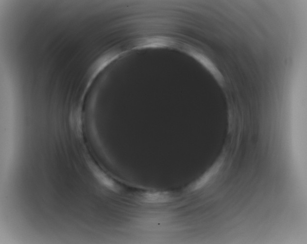 X0000113850850200910010959