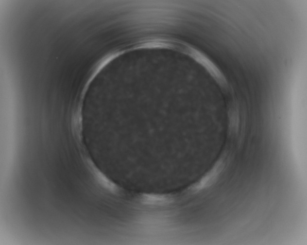 X0000113850852200910010959