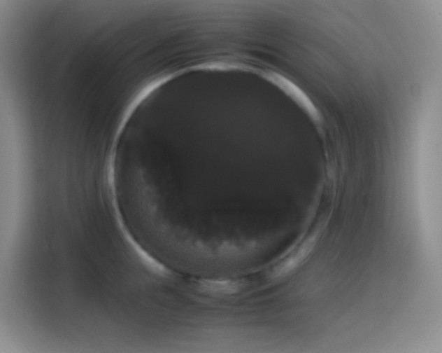 X0000113850855200910010959