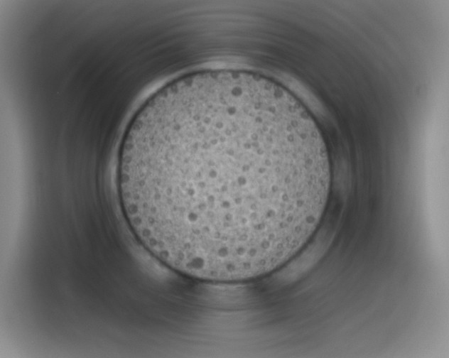 X0000113850856200910010959