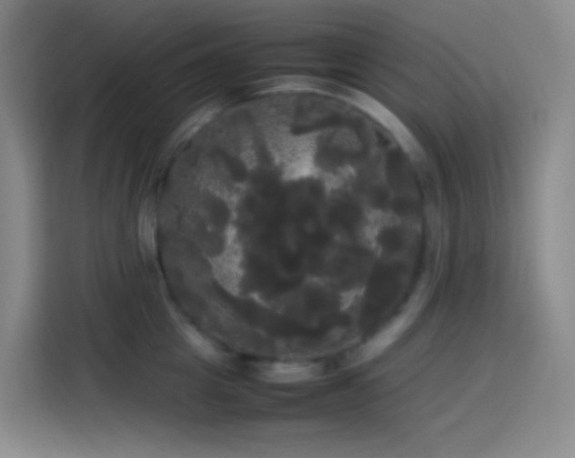 X0000113850857200910010959