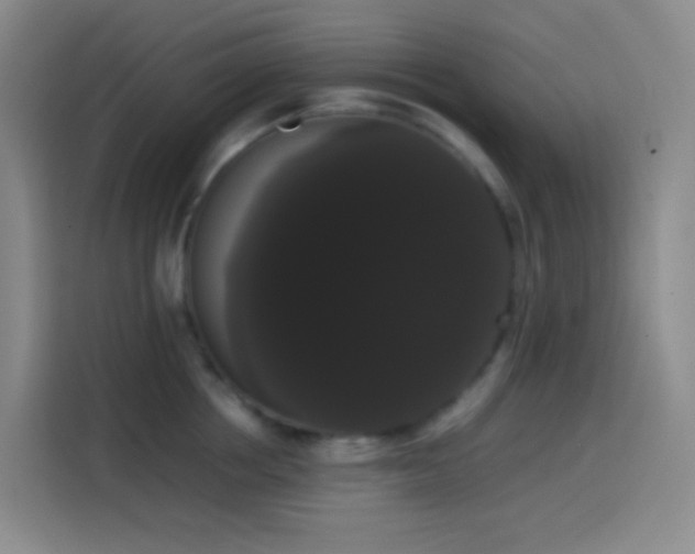 X0000113850858200910010959