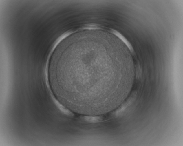 X0000113850861200910010959