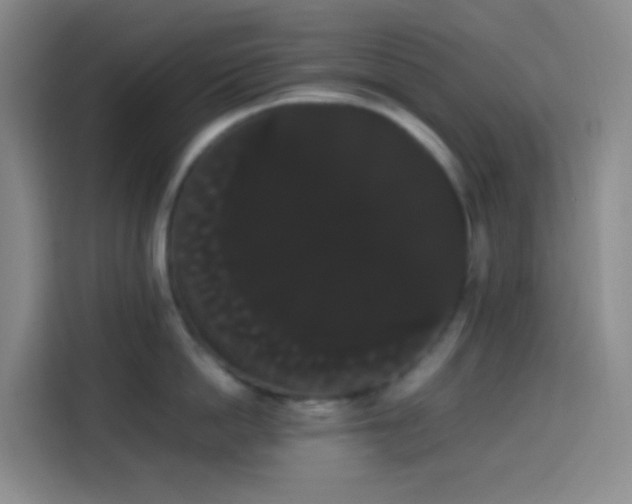 X0000113850862200910010959