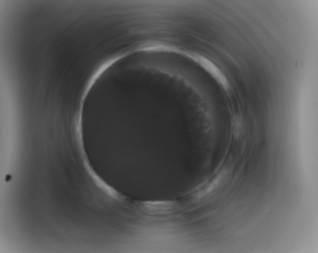 X0000113850863200910010959