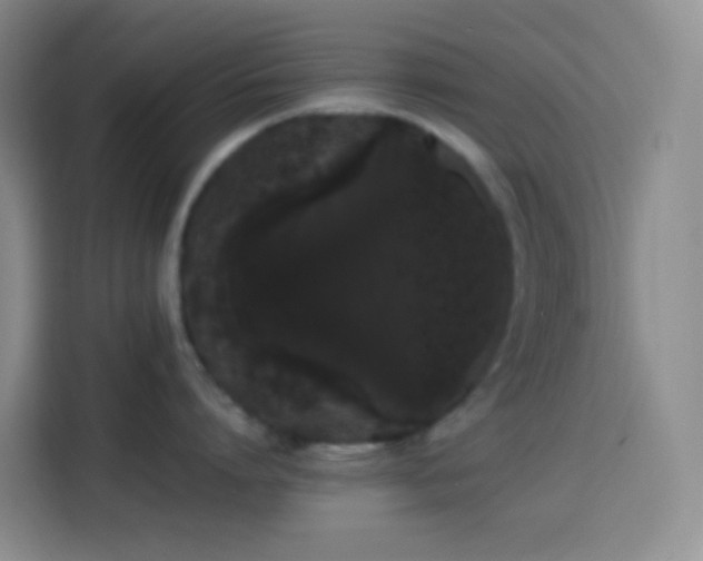 X0000113850864200910010959