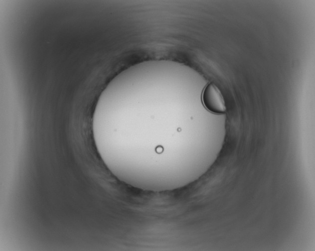 X0000113850865200910010959